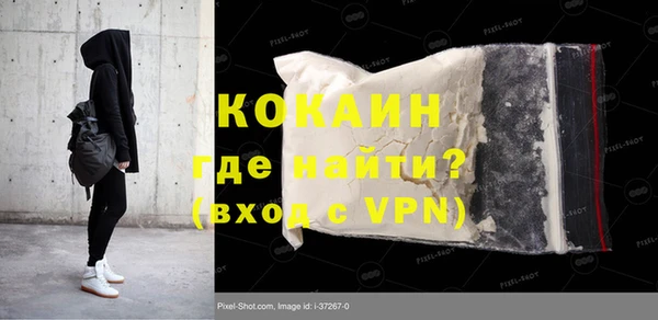 молекула духа Богородицк