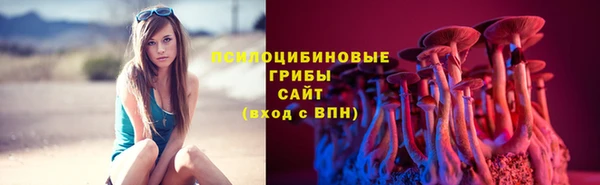винт Богородск