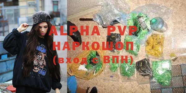 молекула духа Богородицк