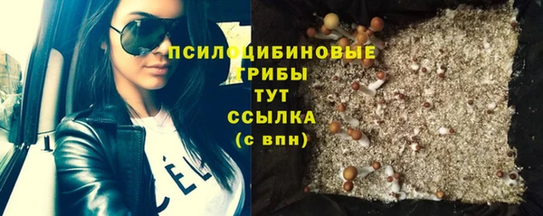 молекула духа Богородицк