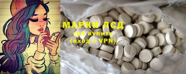 молекула духа Богородицк