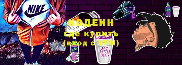 молекула духа Богородицк
